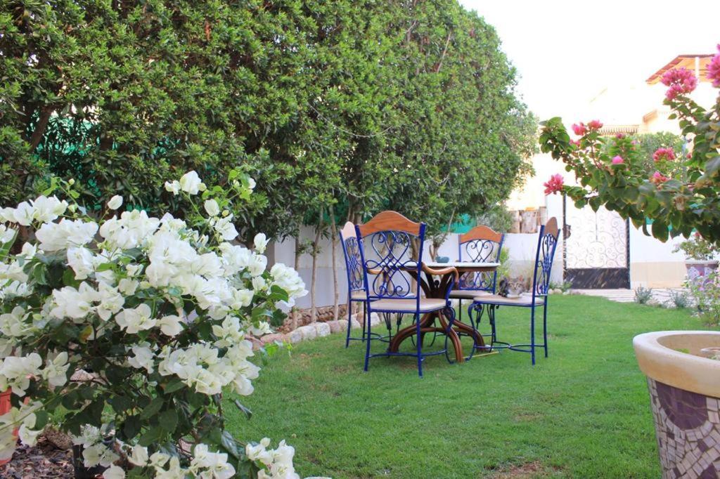 Villa D60 Şarm El-Şeyh Dış mekan fotoğraf